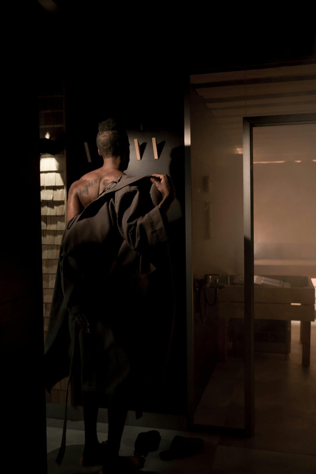 Longevity Vault Detox Sauna Therapy for Longevity