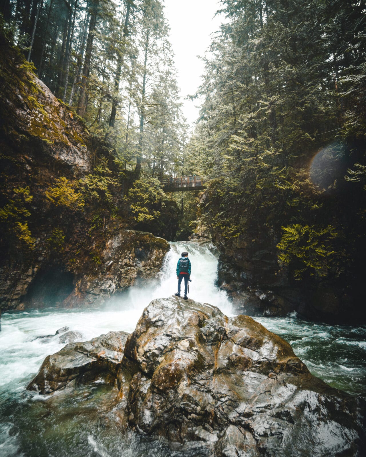 Longevity Vault – A man standing under a waterfall in nature, representing resilience and growth, defying shrinking with age, brain shrinkage, and brain volume loss through continuous evolution.
