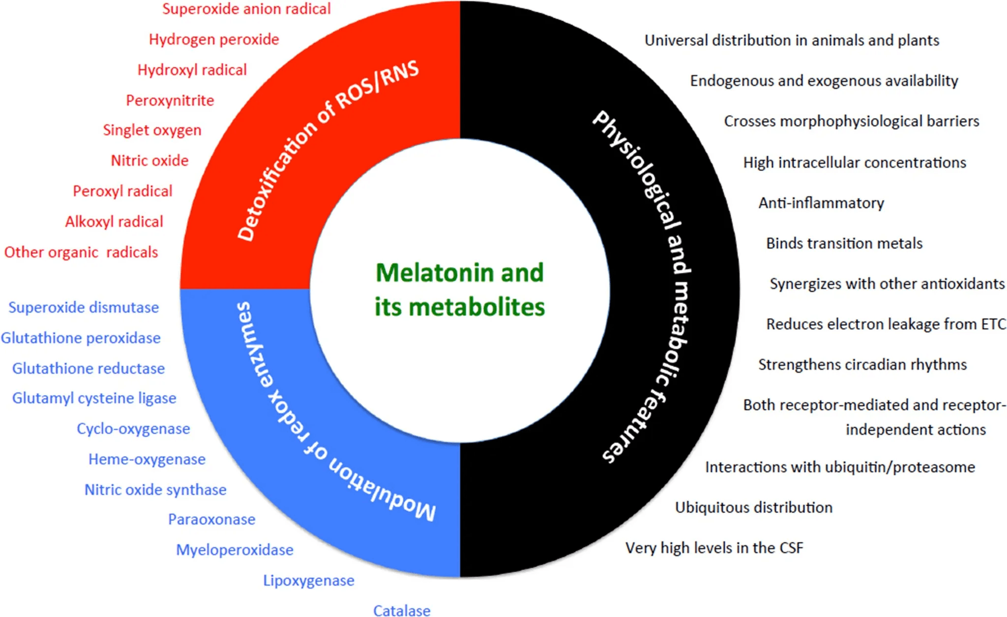longevity vault melatonin mitochondria antioxidant properties Melatonin’s direct and indirect antioxidant actions: Diagram showing ROS/RNS neutralization (red), modulation of redox-related enzymes (blue), and structural traits enabling mitochondrial localization (black). melatonin for longevity
