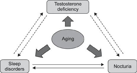 image 10 Waking Up To Pee