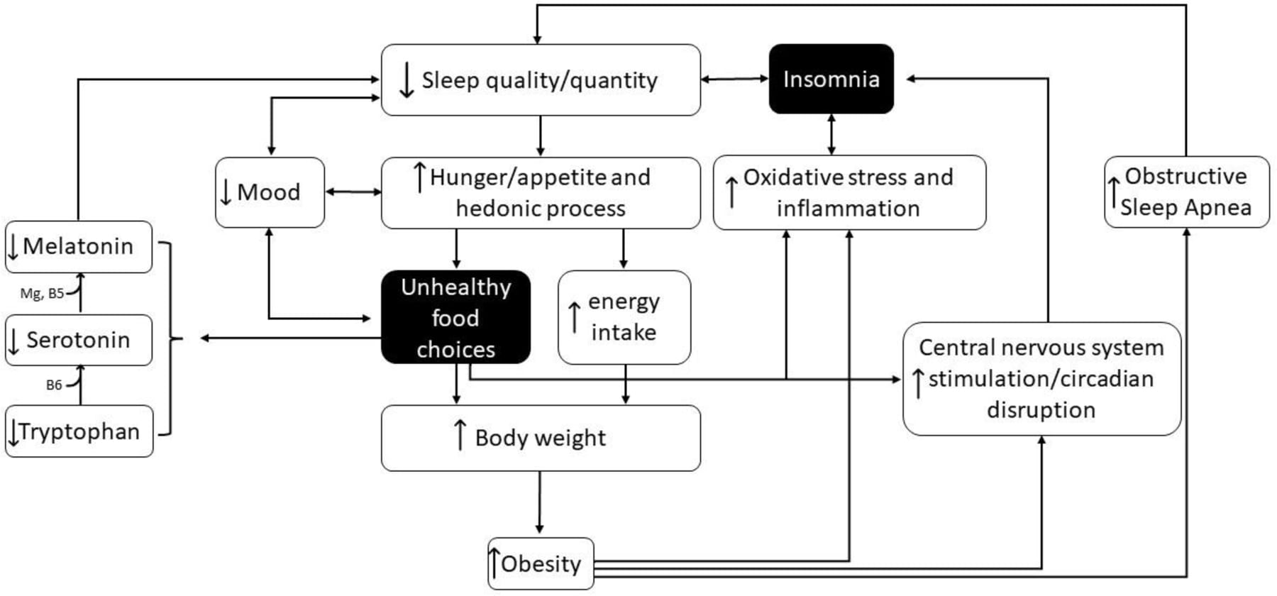 Diagram of mechanisms linking diet and insomnia