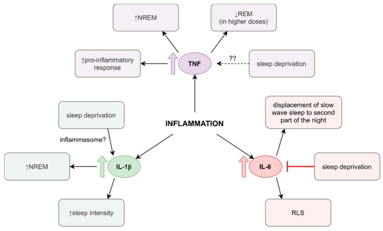 Sleep and inflammation — cytokine mechanisms