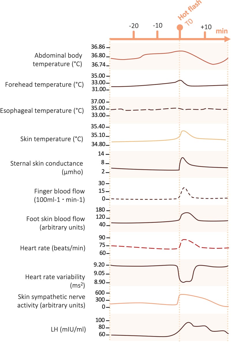 Physiological changes during a hot flash including skin temperature, blood flow, and heart rate