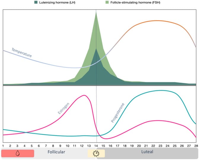 Schematic representation of changes in hormones and temperature across a typical 28-day ovulatory menstrual cycle