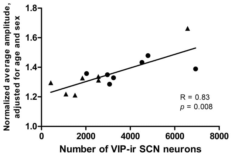 Scatter plot showing correlation between VIP neuron count and circadian rhythm amplitude
