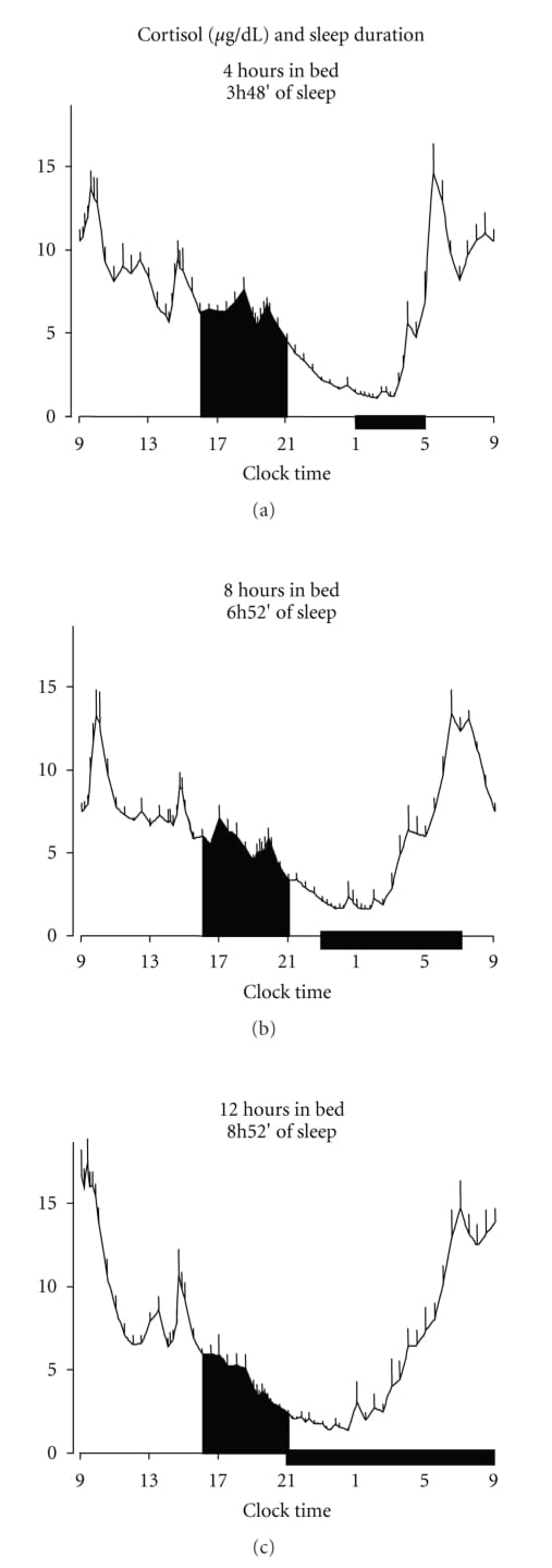 24-hour cortisol profiles under 4-hour, 8-hour, and 12-hour bedtimes