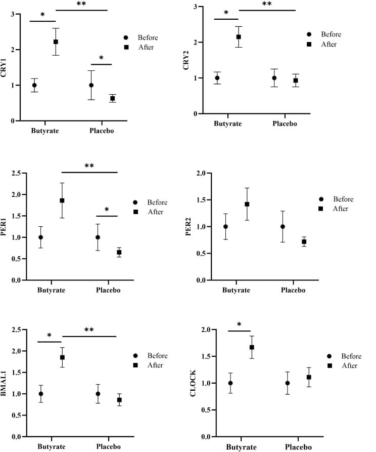 Effect of butyrate supplementation on circadian clock gene expression