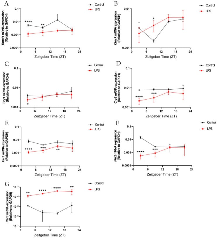 Bar charts showing LPS-induced disruption of circadian gene oscillations including Bmal1, Clock, Cry1, Cry2, Per1, Per2, and Per3 in the hypothalamus