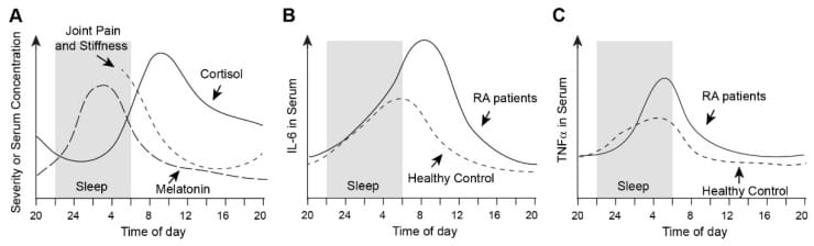 Circadian cytokine and hormone patterns in rheumatoid arthritis