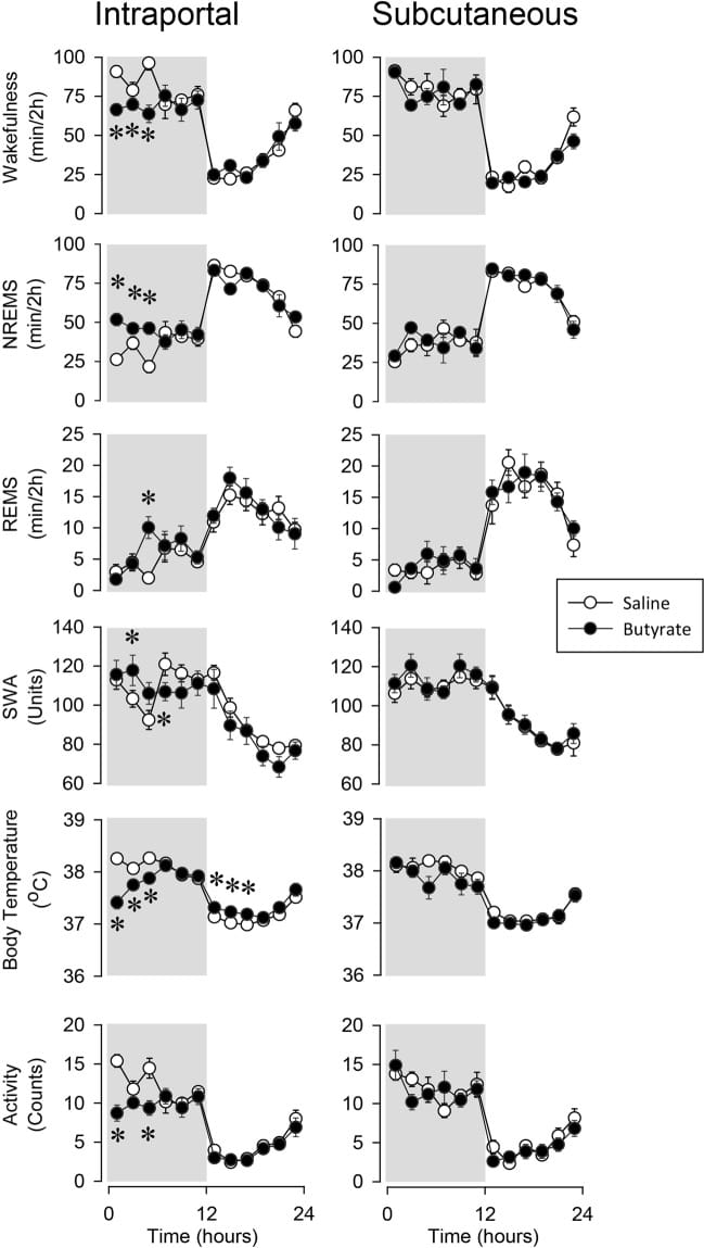 Effects of intraportal and subcutaneous butyrate administration on sleep