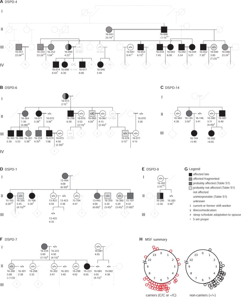 Family pedigrees showing sleep timing patterns in CRY1 mutation carriers versus non-carriers across multiple families