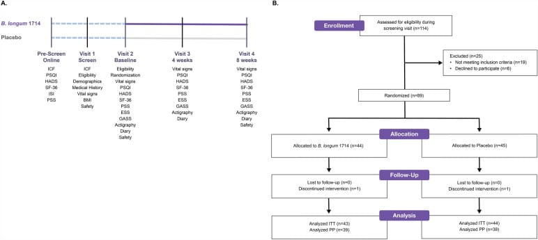 Flow diagram of study design for Bifidobacterium breve CCFM1025 sleep trial