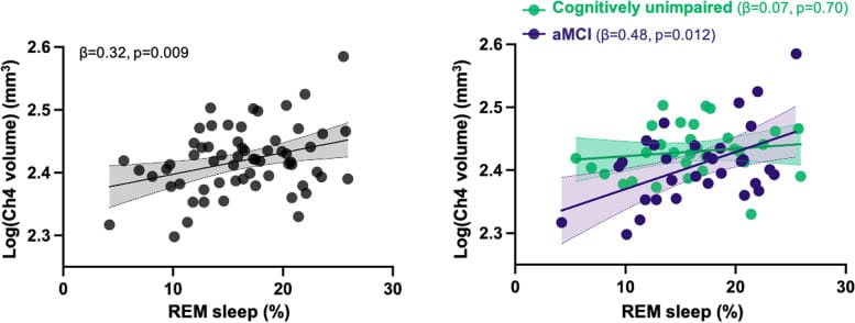 Scatterplots showing association between cholinergic basal forebrain volume and REM sleep percentage