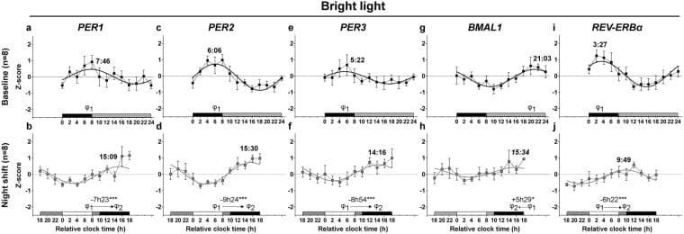 Clock gene mRNA expression in PBMCs at baseline and after night shift with bright light phototherapy