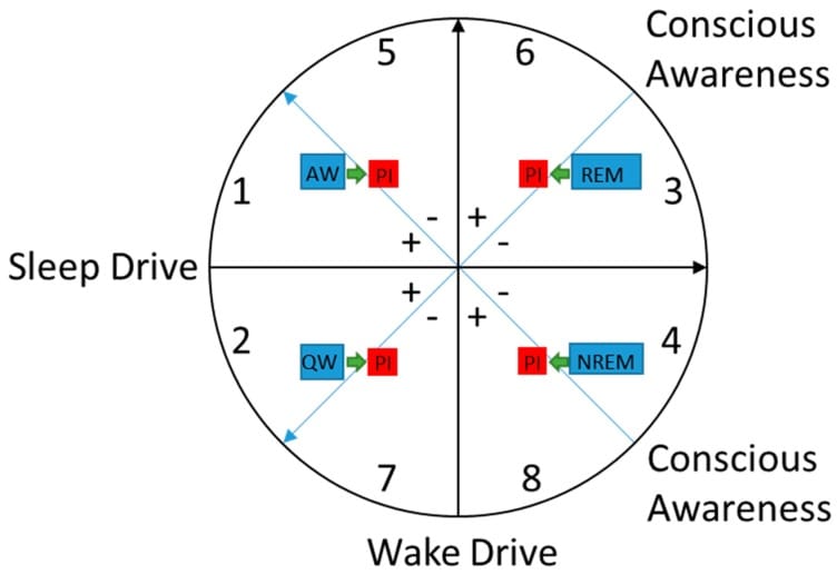 Heuristic model showing how insomnia moves brain states toward higher wake drive and conscious awareness during sleep