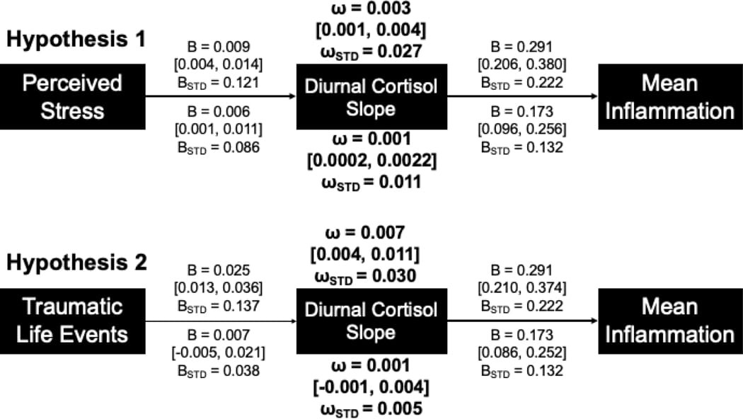 Structural equation model showing perceived stress linked to inflammation through diurnal cortisol slope