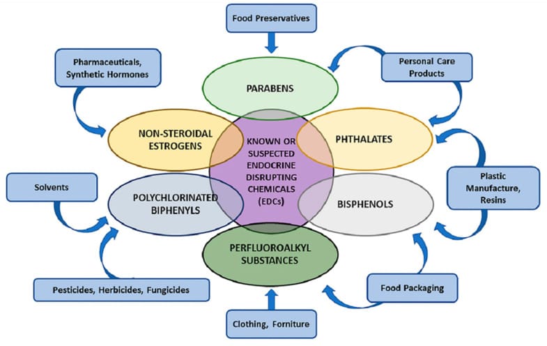 Diagram of endocrine-disrupting chemical classes and their sources