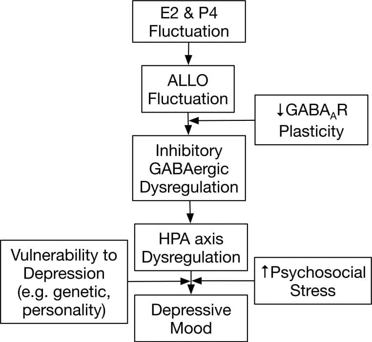 HPA axis model diagram showing estradiol and progesterone fluctuation leading to allopregnanolone changes, GABAergic dysregulation, and HPA axis dysregulation