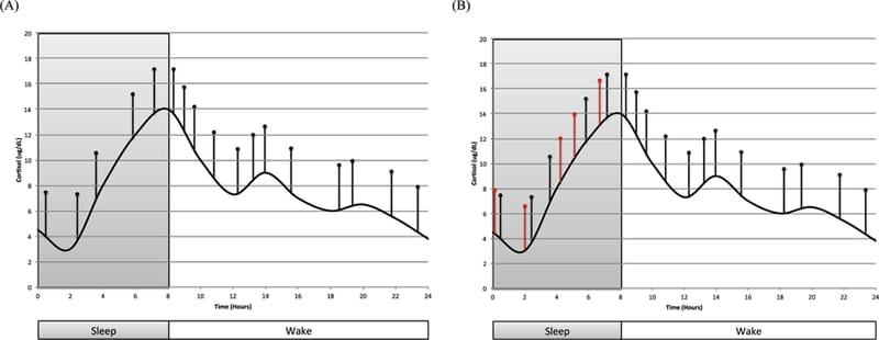 Schematic of circadian and ultradian cortisol secretory patterns in chronic insomnia.