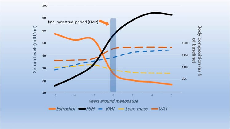 2026 05 20 hormonal women sleep disruption pillar figure 1 Diagram showing ovarian hormone changes and body composition changes during the menopause transition.