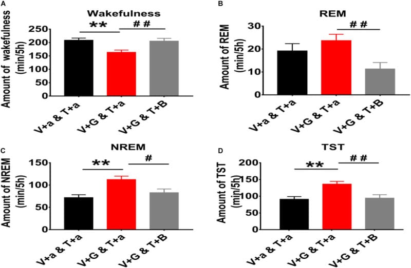 2026 05 20 inflammatory sleep disruption pillar figure 1 Wakefulness, REM, NREM, and total sleep time outcomes after VLPO and TMN manipulation.