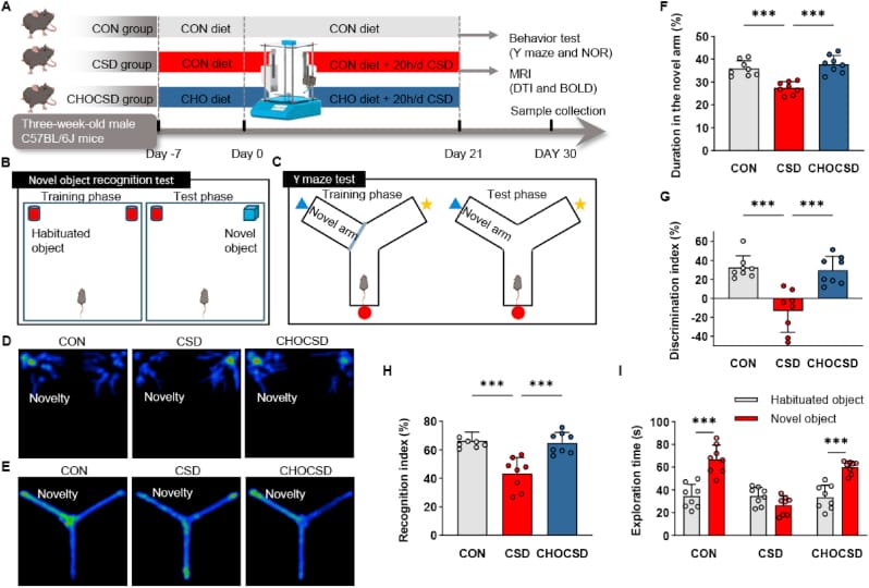 Experimental design showing choline supplementation in sleep-deprived mice with behavioral testing paradigms