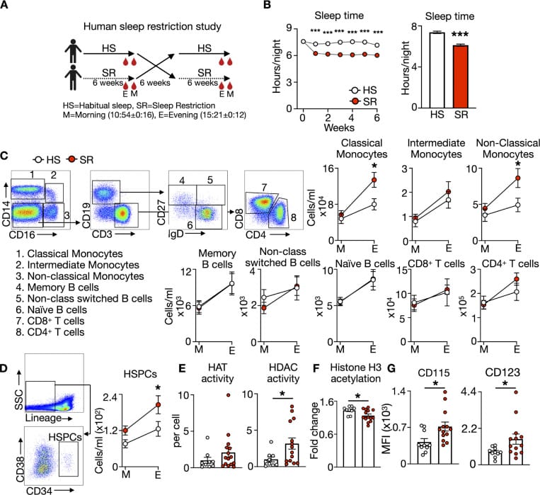 circadian disruption inflammation figure 2 Human sleep restriction promotes monocytosis and shapes hematopoietic stem cell epigenome