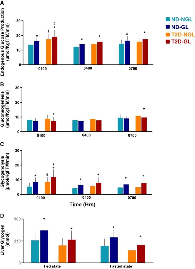 Endogenous glucose production and gluconeogenesis overnight