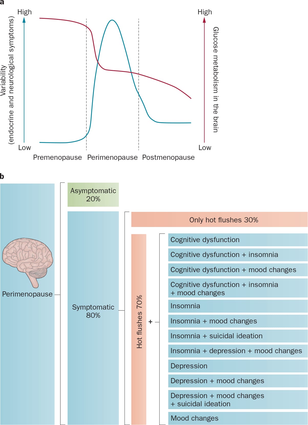 light sleeper perimenopause figure 1 Chart showing neurological variability peaking during perimenopause while brain glucose metabolism declines