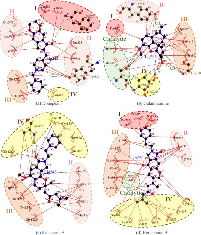 Molecular interaction diagrams comparing donepezil, galantamine, erinacerin A, and hericenone B binding at the acetylcholinesterase active site