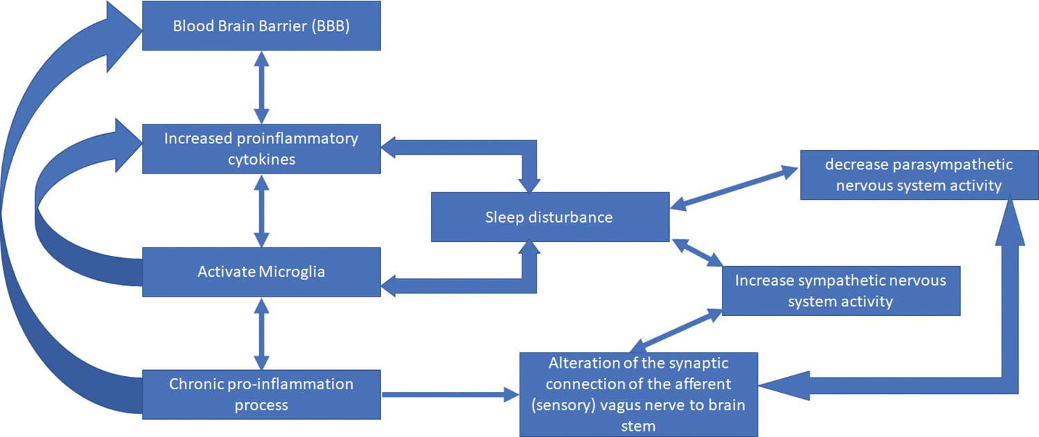 Proposed biological mechanisms model showing how pro-inflammatory cytokines cross the blood-brain barrier, activate microglia, alter vagus nerve connections to the brainstem, increase sympathetic activity, decrease parasympathetic activity, and produce chronic sleep disturbance in ME/CFS