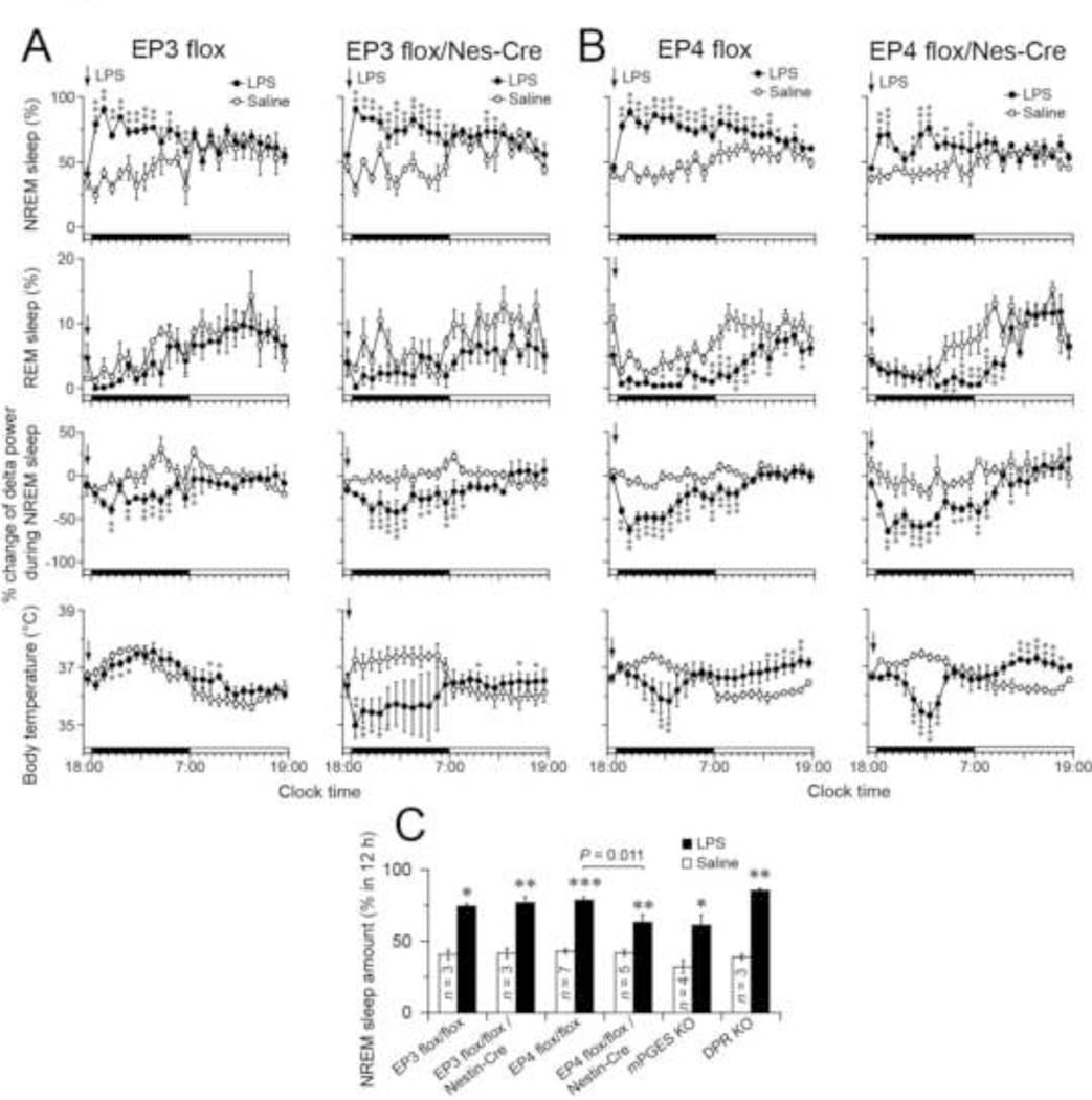 prostaglandins sleep figure 1 NREM and REM sleep time courses in EP3 and EP4 knockout mice after LPS challenge