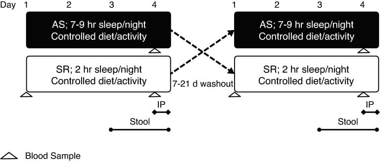 Study design of randomized crossover trial comparing three nights of adequate sleep versus sleep restriction and its effect on gut microbiota richness