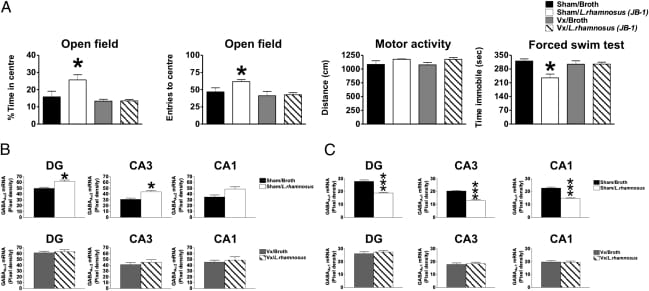 Effect of vagotomy on anxiety and depression-like behaviors and GABA subunit expression in mice treated with Lactobacillus rhamnosus JB-1